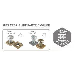 11-2205-11 ЭРА Розетка 2х2P+E Schuko, 16A-250В, IP20, ОУ, Эра Эксперт, сосна (12/120/1920)