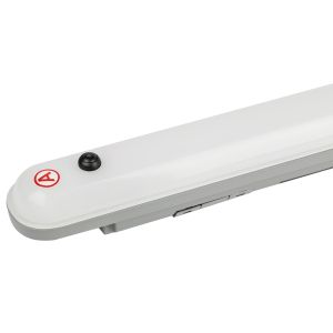 Аварийный линейный светодиодный светильник ЭРА SPP-201-0-40K-E36 36Вт 4000K 3420Лм IP65 1200мм с бап 1 час матовый