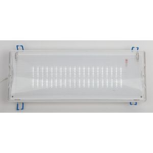 Аварийный светильник светодиодный ЭРА DPA-301-0-65 непостоянный 40LED 3ч IP65