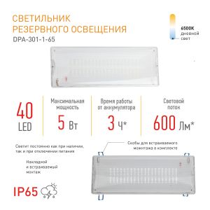 Аварийный светильник светодиодный ЭРА DPA-301-1-65 постоянный 40LED 3ч IP65