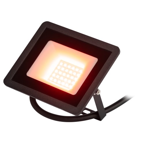 Прожектор светодиодный уличный ЭРА LPR-025-RED-030 30Вт красное свечение 600лм IP65