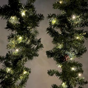 ENIN -10NW ЭРА Гирлянда LED Нить 10 м теплый свет 220V (100/1800)