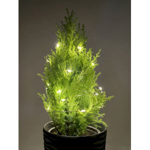 ENIN-2B ЭРА Гирлянда LED Нить 2 м теплый свет, АА, IP20 (100/4800) ENIN-2B ЭРА Гирлянда LED Нить 2 м теплый свет, АА, IP20 (100/4800)