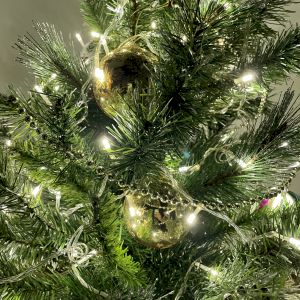 ENON-10B ЭРА Гирлянда LED Нить 10 м теплый свет, 24V, IP44 (80/960) ENON-10B ЭРА Гирлянда LED Нить 10 м теплый свет, 24V, IP44 (80/960)