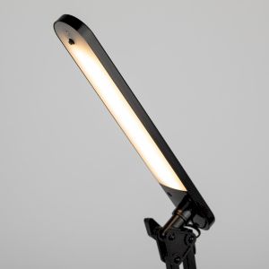 ЭРА наст.светильник NLED-441-7W-BK черный (8/264)