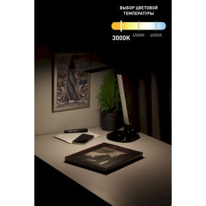 ЭРА наст.светильник NLED-456-10W-BK-S черный с серебром (12/144)