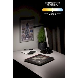 ЭРА наст.светильник NLED-456-10W-BK-S черный с серебром (12/144)