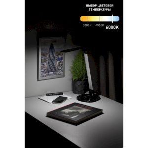 ЭРА наст.светильник NLED-456-10W-BK-S черный с серебром (12/144)