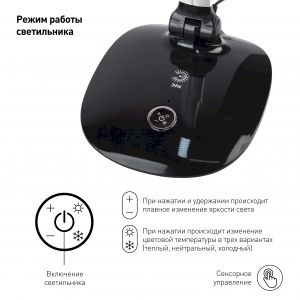 ЭРА наст.светильник NLED-456-10W-BK-S черный с серебром (12/144)