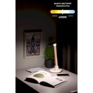 ЭРА наст.светильник NLED-456-10W-W-G белый с золотом (12/144) ЭРА наст.светильник NLED-456-10W-W-G белый с золотом (12/144)