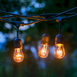 Гирлянда ЭРА ERABL-FIL2 светодиодная новогодняя нить уличная на подвесах 9,5 м теплый белый 20 LED Гирлянда ЭРА ERABL-FIL2 светодиодная новогодняя нить уличная на подвесах 9,5 м теплый белый 20 LED