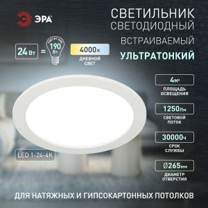 LED 1-24-4K Светильник ЭРА светодиодный круглый LED 24W 220V 4000K (20/180)