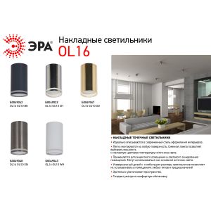OL16 GU10 WH Подсветка ЭРА Накладные, под GU10 (40/1600) OL16 GU10 WH Подсветка ЭРА Накладные, под GU10 (40/1600)