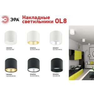 OL8 GX53 WH/SL Подсветка ЭРА Накладной под лампу Gx53, алюминий, цвет белый+серебро (40/800)