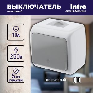 Переключатель Intro Atlantic 5-103-03 10А-250В, IP54, открытой установки, серый