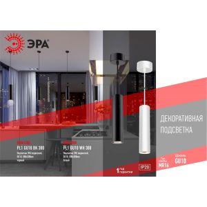 PL1 GU10 BK 300 Подсветка ЭРА подвесной, GU10, D80*300мм, черный (20/240) PL1 GU10 BK 300 Подсветка ЭРА подвесной, GU10, D80*300мм, черный (20/240)