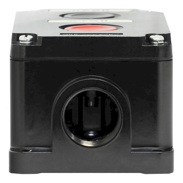 Пост кнопочный ПКЕ 222-2 У2 IP54 Пост кнопочный ПКЕ 222-2 У2 IP54