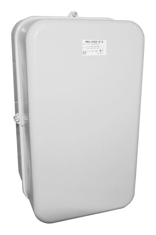 Пускатель магнитный ПМ12-125110 У2 В 110В КЗЭ Пускатель магнитный ПМ12-125110 У2 В 110В КЗЭ