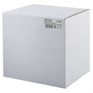 Садово-парковый светильник ЭРА НБУ 07-40-004 Дели 3 белый 6 гранный настенный IP44 Е27 max40Вт