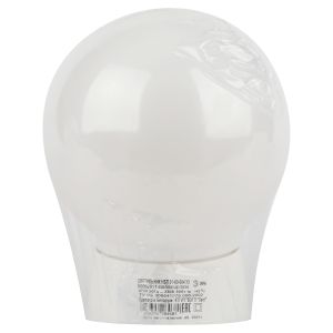 Светильник ЭРА НБП 01-60-004 с наклонным основанием Гранат полиэтилен IP20 E27 max 60