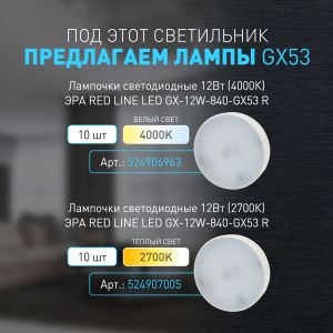 Светильник настенно-потолочный спот ЭРА OL39 WH под GX53 IP20 белый