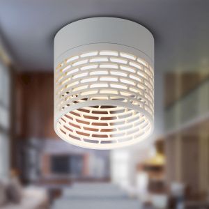 Светильник настенно-потолочный спот ЭРА OL53 WH под лампу GX53 белый IP20