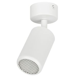 Светильник настенно-потолочный спот ЭРА OL55 WH MR16 GU10 IP20 белый Светильник настенно-потолочный спот ЭРА OL55 WH MR16 GU10 IP20 белый