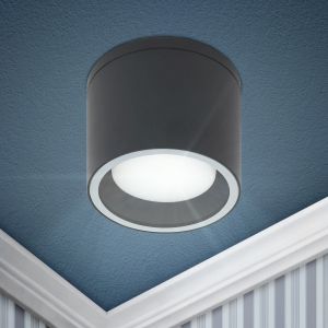 Светильник настенно-потолочный спот ЭРА WL40 BK GX53, черный, IP54 Светильник настенно-потолочный спот ЭРА WL40 BK GX53, черный, IP54