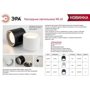Светильник настенно-потолочный спот ЭРА WL40 BK GX53, черный, IP54 Светильник настенно-потолочный спот ЭРА WL40 BK GX53, черный, IP54