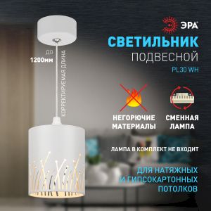 Светильник подвесной (подвес) ЭРА PL30 WH цоколь GX53 потолочный цилиндр белый