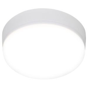 Светильник светодиодный ЭРА LED 15-18-4K накладной круглый 18Вт 4000K