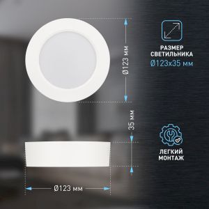 Светильник светодиодный ЭРА LED 19-12-6K накладной круглый 12Вт 6500К