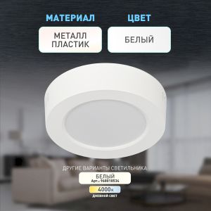 Светильник светодиодный ЭРА LED 19-12-6K накладной круглый 12Вт 6500К