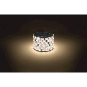 Светодиодная лента ЭРА LS5050 -14,4-60-12-3000K-IP65-1 year-5m теплый белый 5м