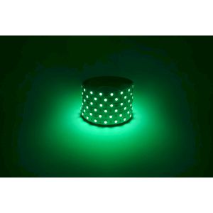 Светодиодная лента ЭРА LS5050 -14,4-60-12-G-IP20-1 year-5m зеленый 5м