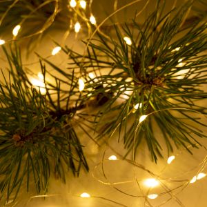 Светодиодная новогодняя гирлянда ЭРА ЕGNIG - ZW занавес с пультом 3*3 м теплый белый 300 LED Светодиодная новогодняя гирлянда ЭРА ЕGNIG - ZW занавес с пультом 3*3 м теплый белый 300 LED