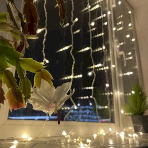 Светодиодная новогодняя гирлянда ЭРА ENOZ-2B Занавес уличная 2 м*2 м желтая 96 LED Светодиодная новогодняя гирлянда ЭРА ENOZ-2B Занавес уличная 2 м*2 м желтая 96 LED