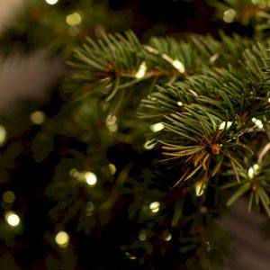 Светодиодная новогодняя гирлянда Intro Holiday INNR-01Z нить теплый свет 10 м 100 microled IP20 Светодиодная новогодняя гирлянда Intro Holiday INNR-01Z нить теплый свет 10 м 100 microled IP20