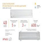 Аварийный светильник светодиодный ЭРА DPA-301-0-65 непостоянный 40LED 3ч IP65