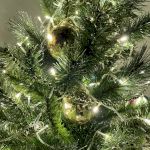 ENON-10B ЭРА Гирлянда LED Нить 10 м теплый свет, 24V, IP44 (80/960)