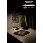 ЭРА наст.светильник NLED-456-10W-BK-S черный с серебром (12/144)