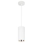 PL12 GX53 WH/SL Подсветка ЭРА Подвесной светильник под лампу GX53, алюминий, цвет белый+серебро (18/