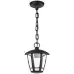 Садово-парковый светильник ЭРА ДСУ 07-8-002 Марсель 1 черный 6 гранный подвесной IP44 светодиодный 8Вт 3000K