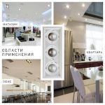 Светильник карданный встраиваемый ЭРА  SKD-13-36-40K-W20 3х20Вт 4000K 5400Лм 390х150х110