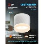 Светильник настенно-потолочный спот ЭРА OL37 WH под GX53 IP20 белый