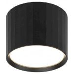 Светильник настенно-потолочный спот ЭРА OL39 BK под GX53 IP20 черный