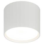 Светильник настенно-потолочный спот ЭРА OL39 WH под GX53 IP20 белый