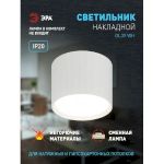 Светильник настенно-потолочный спот ЭРА OL39 WH под GX53 IP20 белый