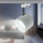 Трековый светильник однофазный ЭРА TR15 GX53 WH/SL под лампу белый/серебро