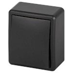 Выключатель ЭРА Эксперт 11-1201-05 10АХ-250В IP20 ОУ антрацит